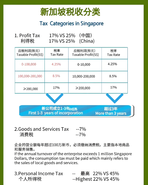 注册新加坡公司税收分类